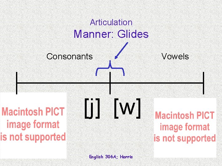 Articulation Manner: Glides Consonants [j] [w] English 306 A; Harris Vowels 