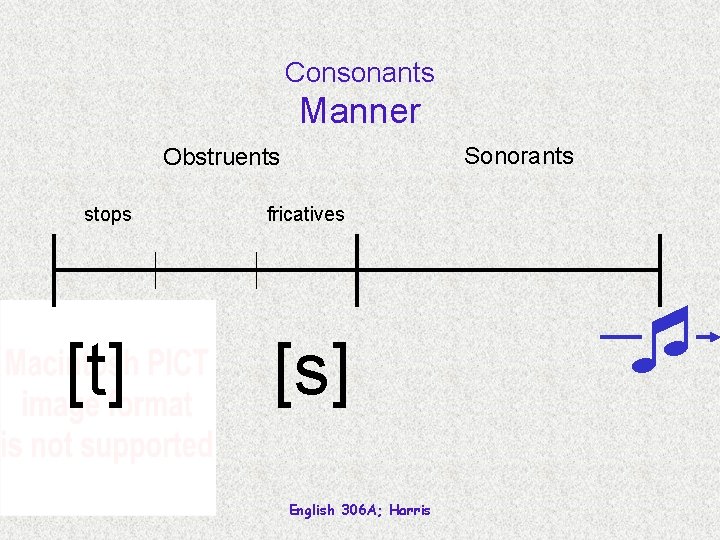 Consonants Manner Sonorants Obstruents stops [t] fricatives [s] English 306 A; Harris 
