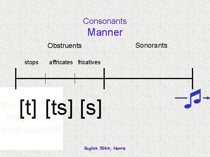 Consonants Manner Sonorants Obstruents stops affricates fricatives [t] [ts] [s] English 306 A; Harris
