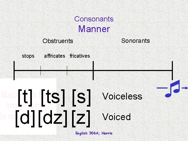 Consonants Manner Sonorants Obstruents stops affricates fricatives [t] [ts] [d] [dz] [z] Voiceless Voiced