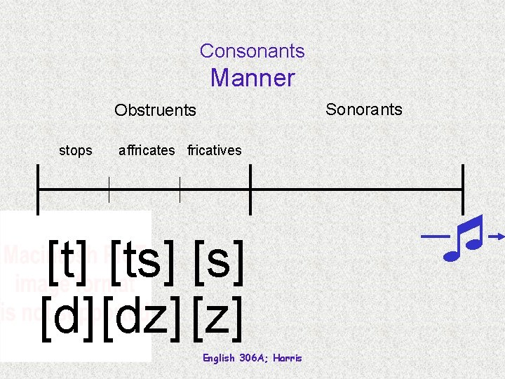 Consonants Manner Sonorants Obstruents stops affricates fricatives [t] [ts] [d] [dz] [z] English 306