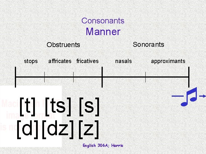 Consonants Manner Sonorants Obstruents stops affricates fricatives nasals [t] [ts] [d] [dz] [z] English
