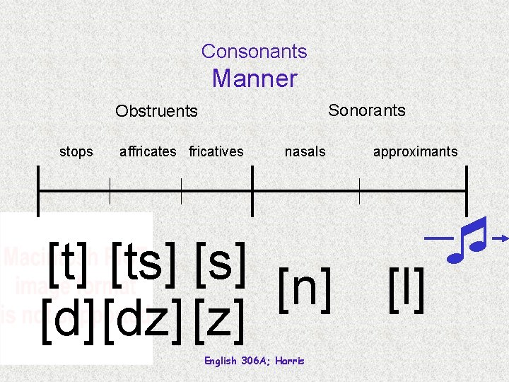 Consonants Manner Sonorants Obstruents stops affricates fricatives nasals [t] [ts] [n] [dz] [z] English