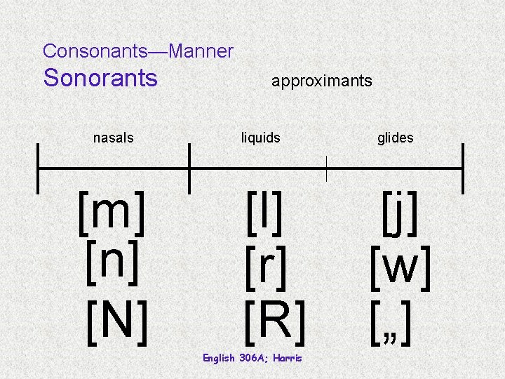 Consonants—Manner Sonorants nasals [m] [n] [N] approximants liquids [l] [r] [R] English 306 A;