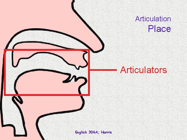 Articulation Place Articulators English 306 A; Harris 