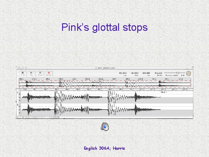 Pink’s glottal stops English 306 A; Harris 