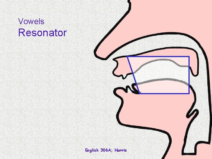 Vowels Resonator English 306 A; Harris 