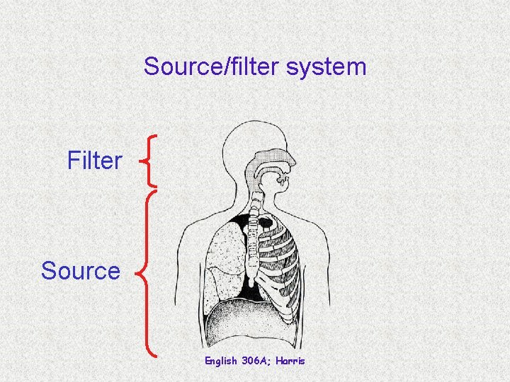 Source/filter system Filter Source English 306 A; Harris 