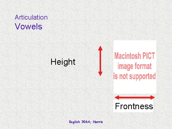 Articulation Vowels Height Frontness English 306 A; Harris 