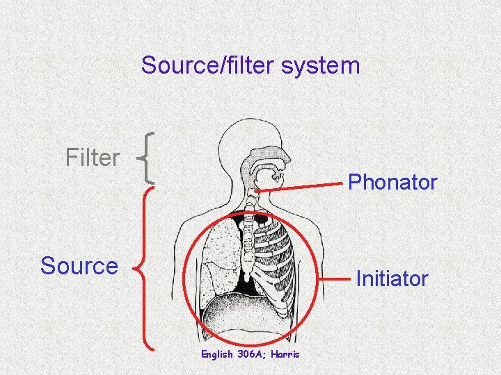 Source/filter system Filter Phonator Source Initiator English 306 A; Harris 