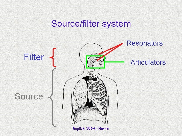 Source/filter system Resonators Filter Articulators Source English 306 A; Harris 