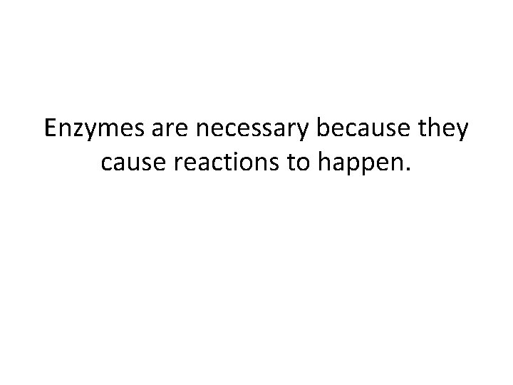 Enzymes are necessary because they cause reactions to happen. 
