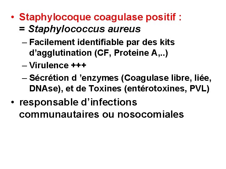  • Staphylocoque coagulase positif : = Staphylococcus aureus – Facilement identifiable par des