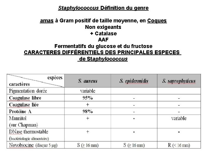 Staphylococcus Définition du genre amas à Gram positif de taille moyenne, en Coques Non