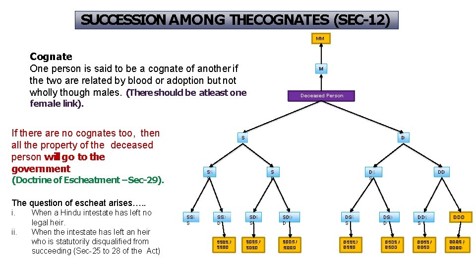 SUCCESSION AMONG THECOGNATES (SEC-12) MM Cognate One person is said to be a cognate