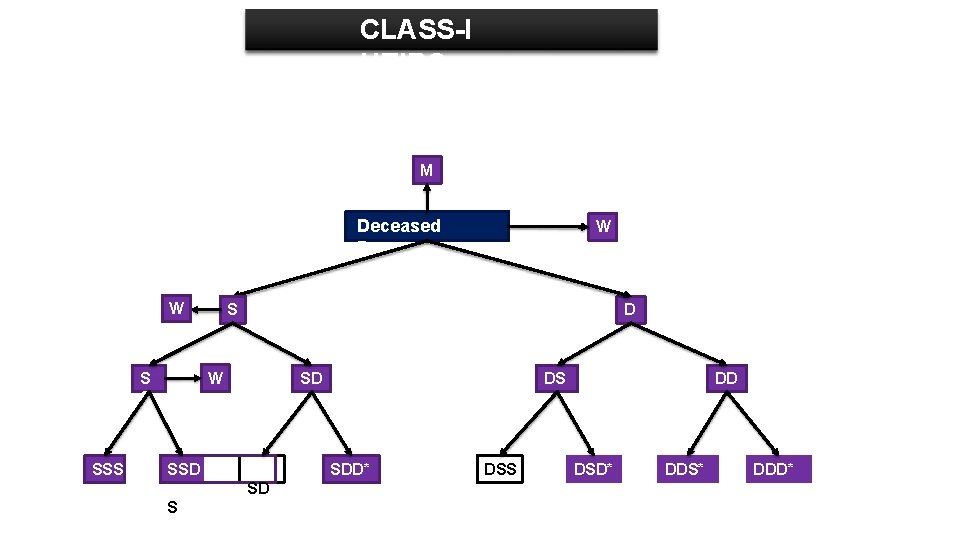 CLASS-I HEIRS M Deceased Person W SSS S D W S S SD SSD