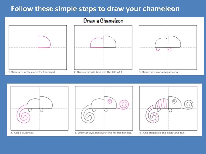 Follow these simple steps to draw your chameleon Follow these simple steps to draw your chameleon