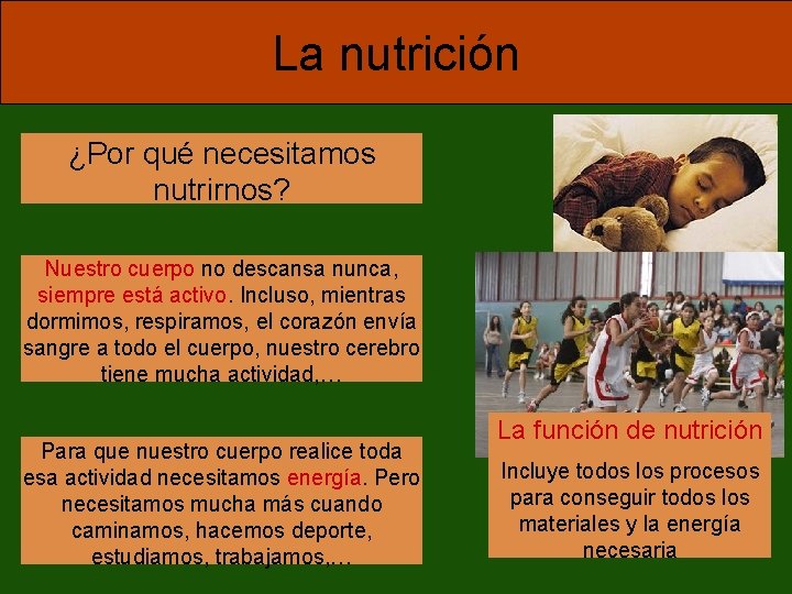 La nutrición ¿Por qué necesitamos nutrirnos? Nuestro cuerpo no descansa nunca, siempre está activo.