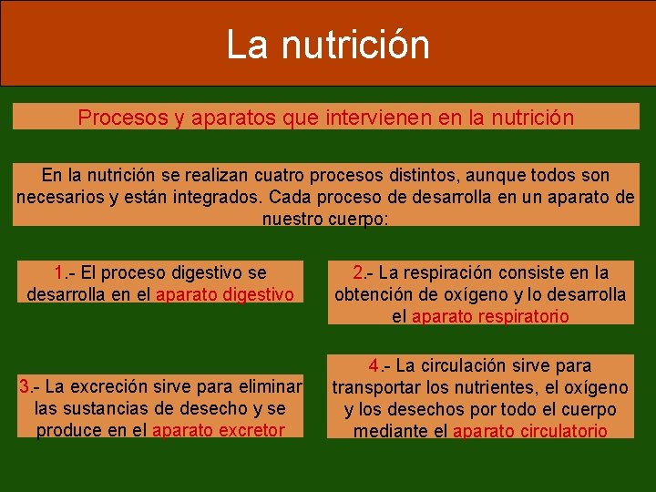 La nutrición Procesos y aparatos que intervienen en la nutrición En la nutrición se
