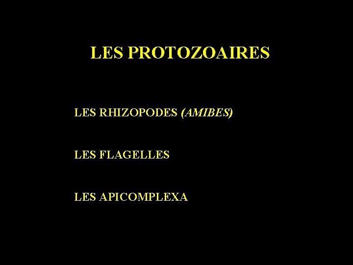 LES PROTOZOAIRES LES RHIZOPODES (AMIBES) LES FLAGELLES APICOMPLEXA 