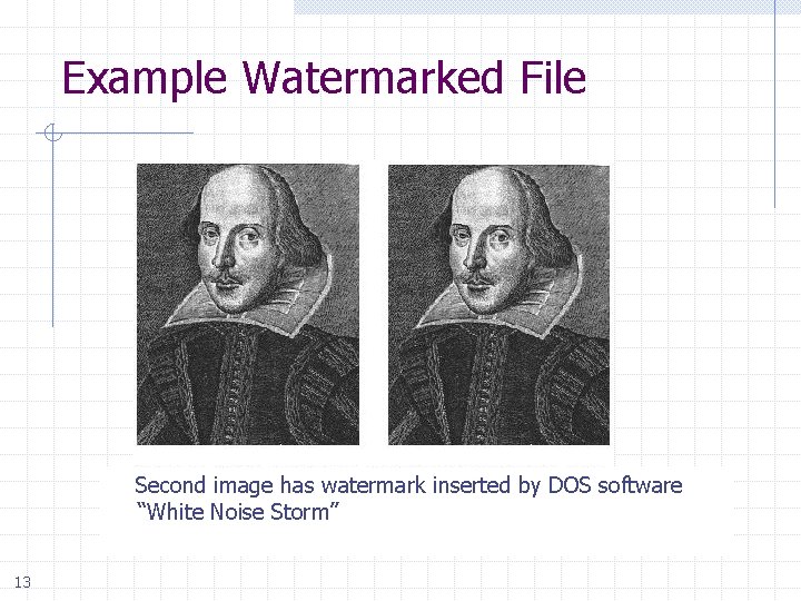 Example Watermarked File Second image has watermark inserted by DOS software “White Noise Storm”