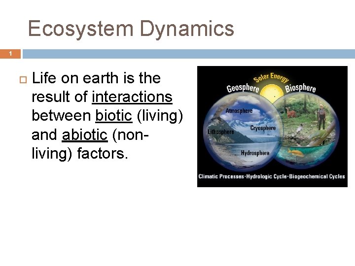 Ecosystem Dynamics 1 Life on earth is the result of interactions between biotic (living)