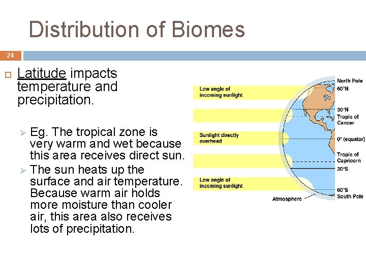 Distribution of Biomes 24 Latitude impacts temperature and precipitation. Ø Ø Eg. The tropical