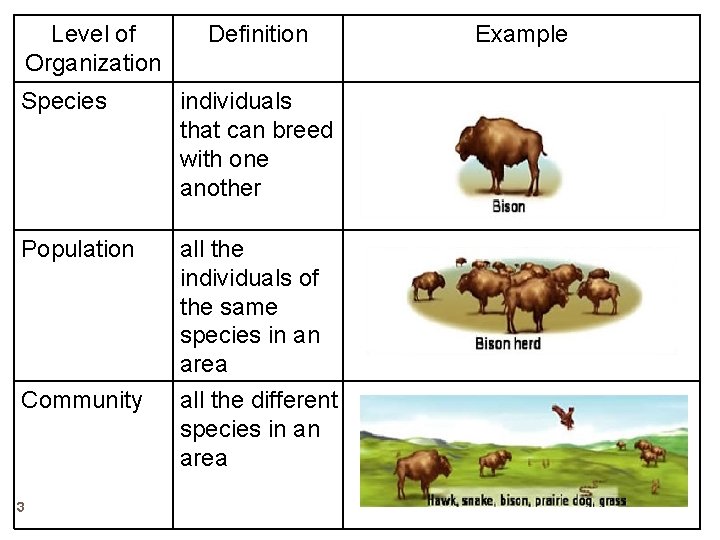 Level of Organization Definition Species individuals that can breed with one another Population all