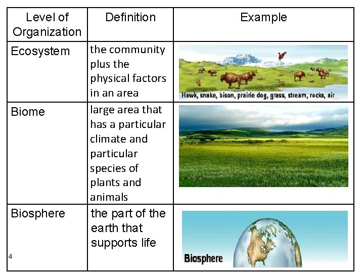 Level of Organization Ecosystem Biome Biosphere 4 Definition the community plus the physical factors