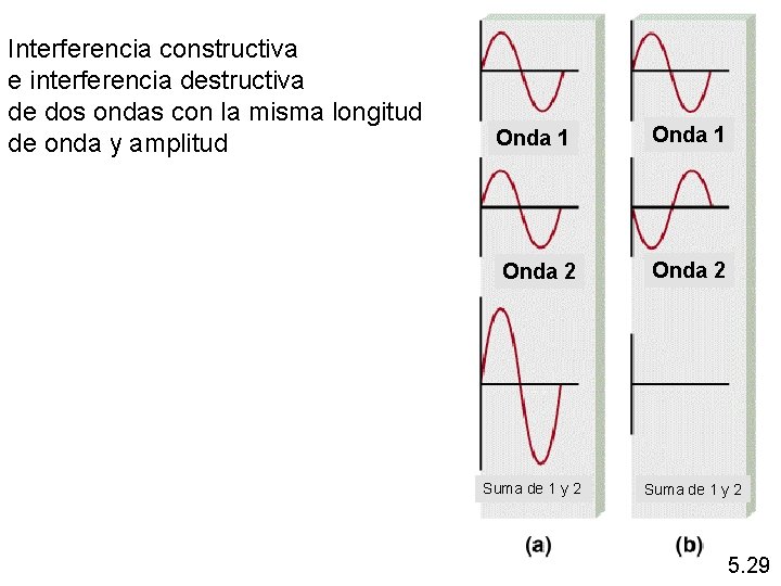 Interferencia constructiva e interferencia destructiva de dos ondas con la misma longitud de onda