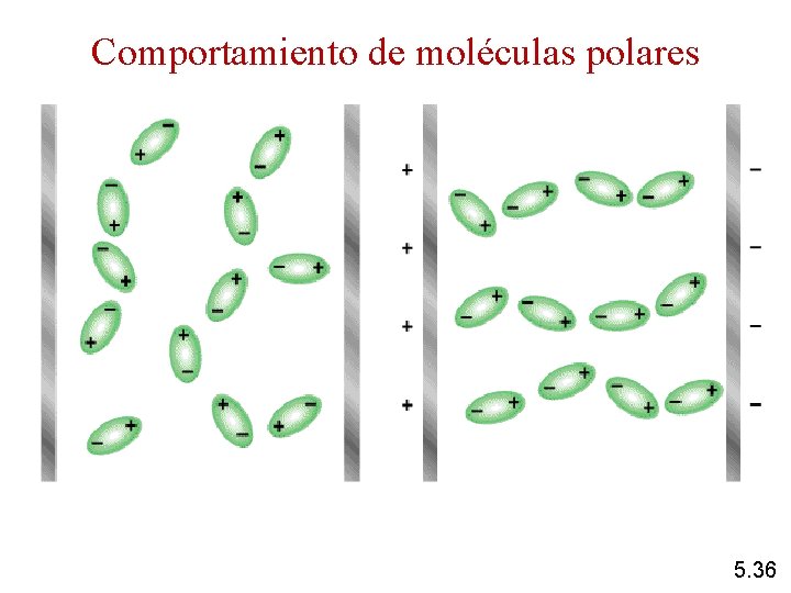 Comportamiento de moléculas polares 5. 36 