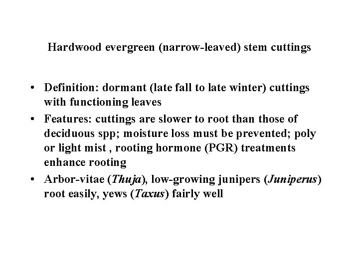 Hardwood evergreen (narrow-leaved) stem cuttings • Definition: dormant (late fall to late winter) cuttings