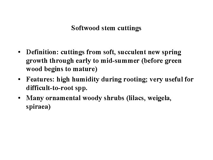 Softwood stem cuttings • Definition: cuttings from soft, succulent new spring growth through early
