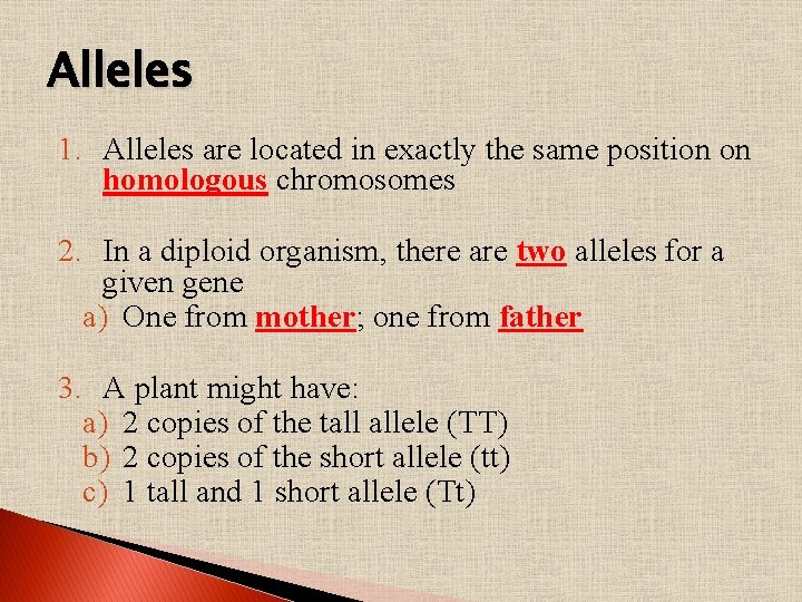 Alleles 1. Alleles are located in exactly the same position on homologous chromosomes 2.