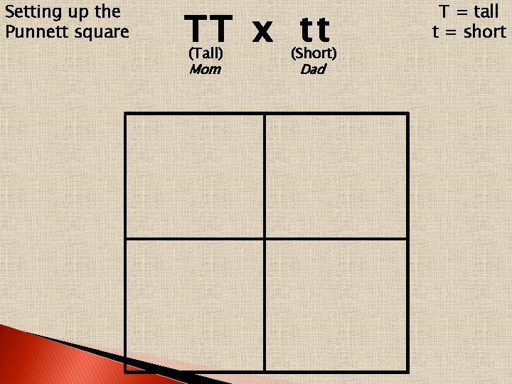 Setting up the Punnett square TT x tt (Tall) Mom (Short) Dad T =