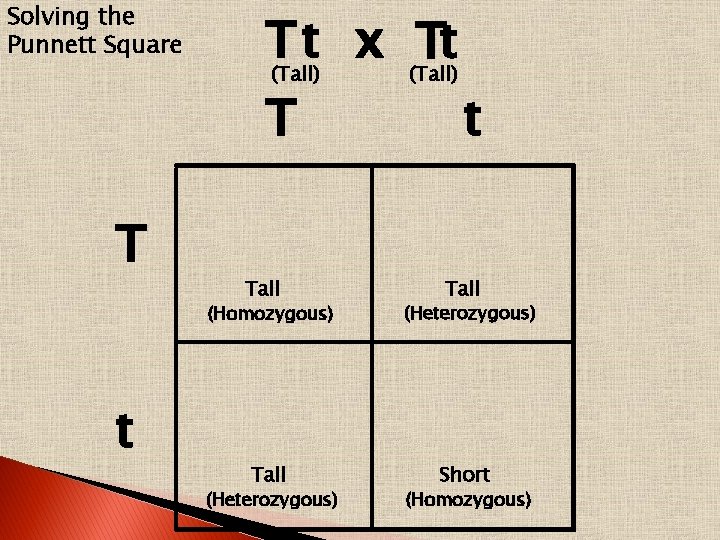 Solving the Punnett Square T t x Tt (Tall) T T t Tall (Homozygous)