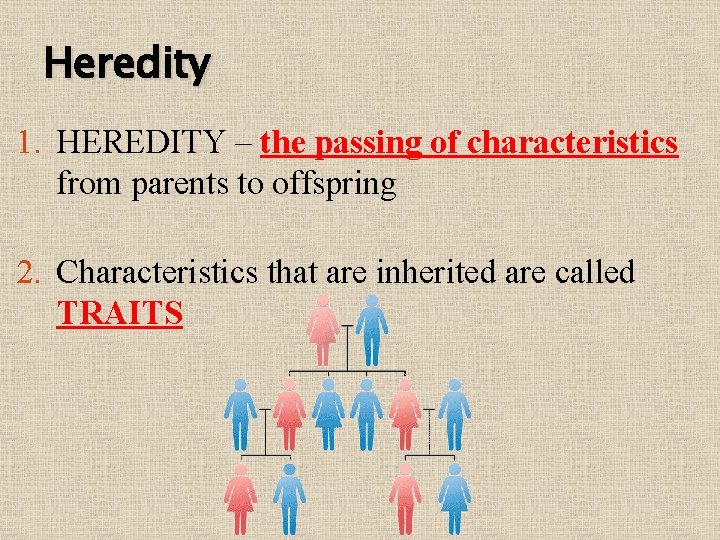 Heredity 1. HEREDITY – the passing of characteristics from parents to offspring 2. Characteristics