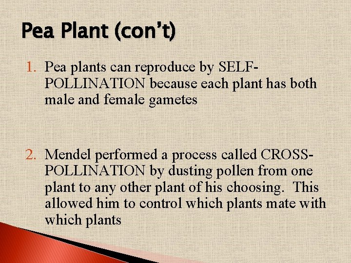 Pea Plant (con’t) 1. Pea plants can reproduce by SELFPOLLINATION because each plant has