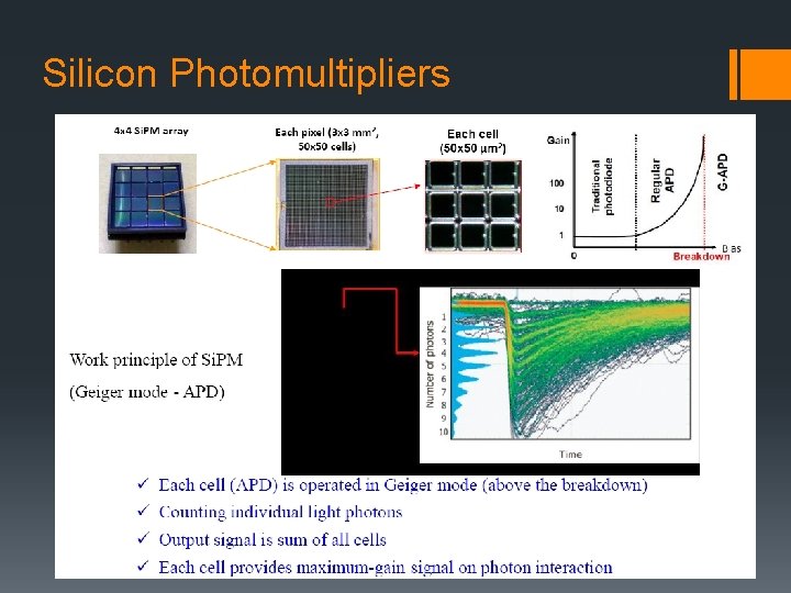 Silicon Photomultipliers 