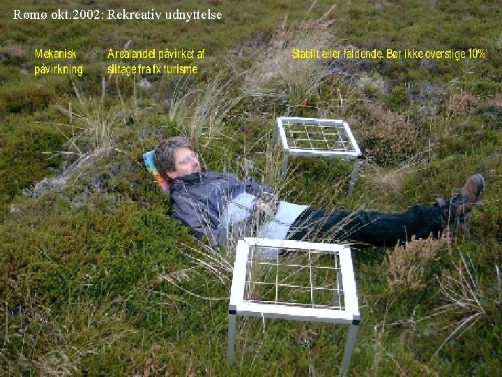 Rømø okt. 2002: Rekreativ udnyttelse 