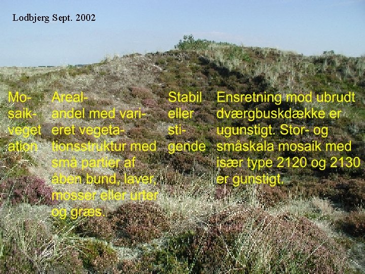 Lodbjerg Sept. 2002 