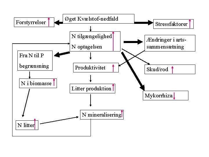 Forstyrrelser Øget Kvælstof-nedfald N tilgængelighed N optagelsen Stressfaktorer Ændringer i artssammensætning Fra N til