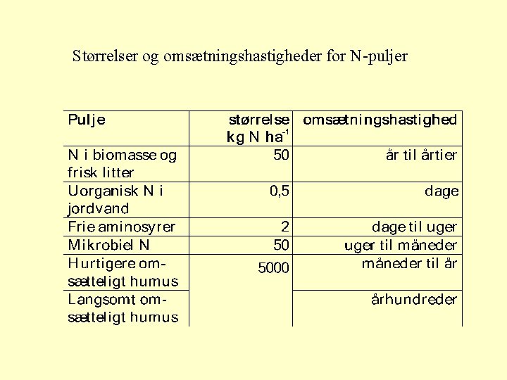 Størrelser og omsætningshastigheder for N-puljer 