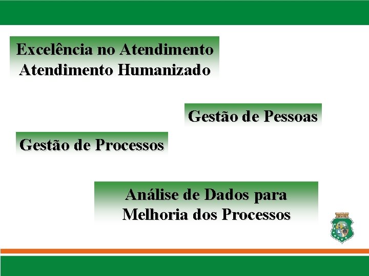 Excelência no Atendimento Humanizado Gestão de Pessoas Gestão de Processos Análise de Dados para