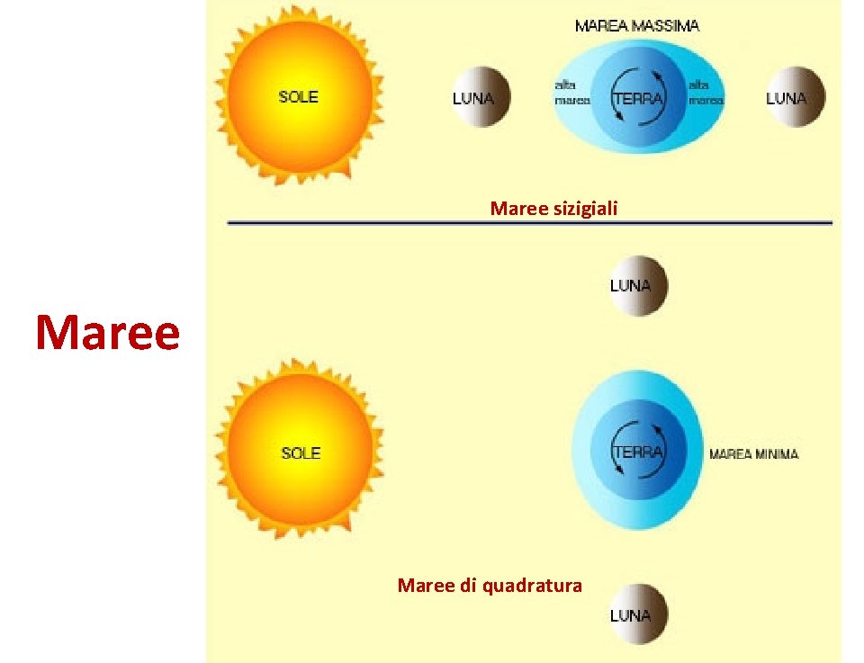 Maree sizigiali Maree di quadratura 