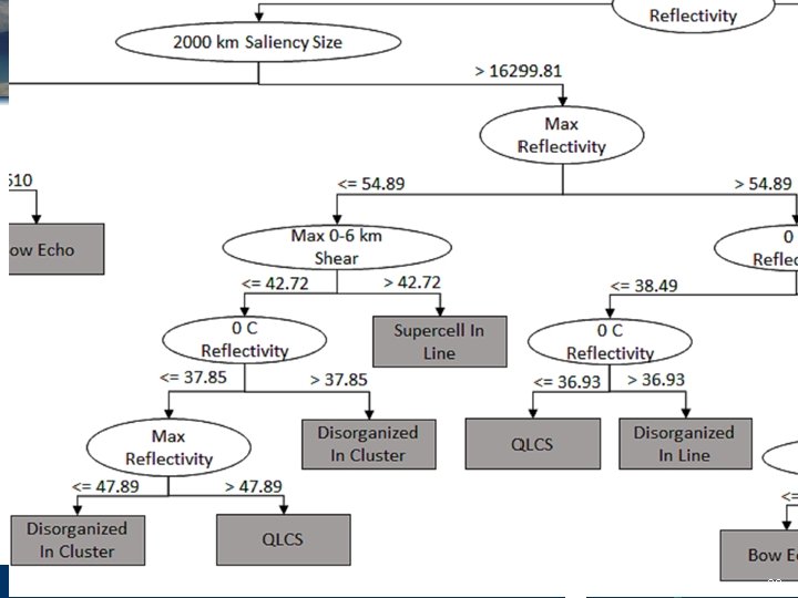 v. LAB Forum: MYRORSS 29 