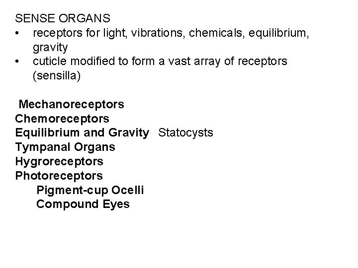 SENSE ORGANS • receptors for light, vibrations, chemicals, equilibrium, gravity • cuticle modified to