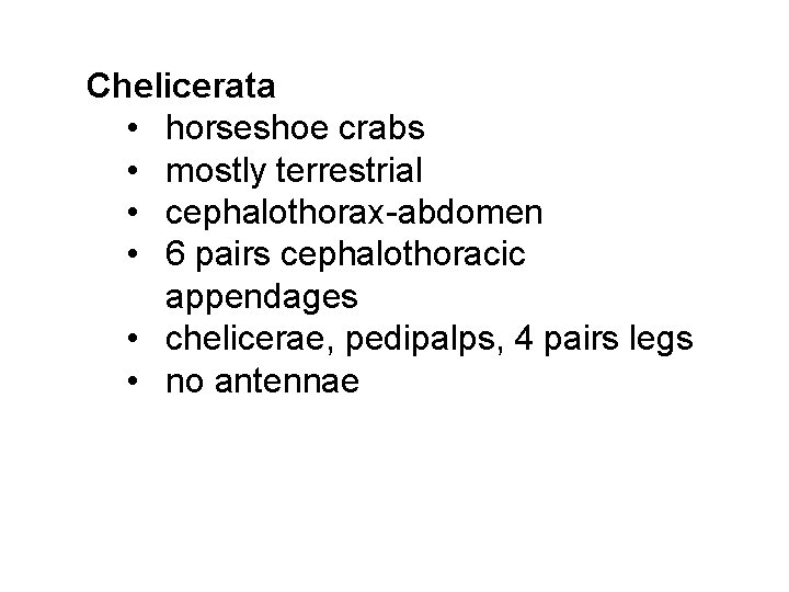 Chelicerata • horseshoe crabs • mostly terrestrial • cephalothorax-abdomen • 6 pairs cephalothoracic appendages