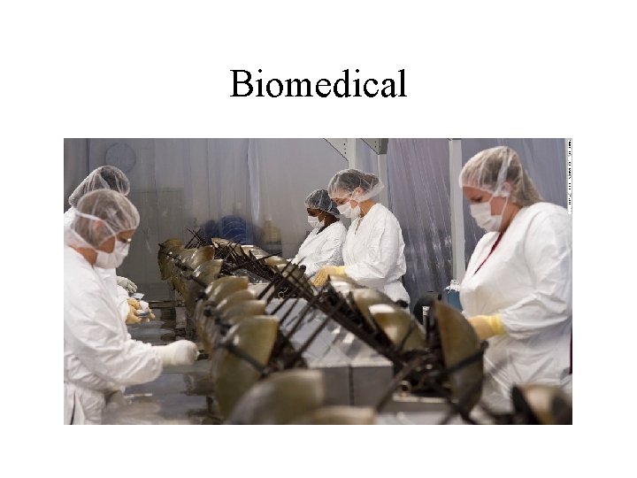 Biomedical 