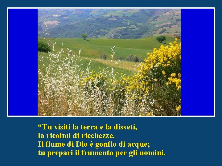 “Tu visiti la terra e la disseti, la ricolmi di ricchezze. Il fiume di